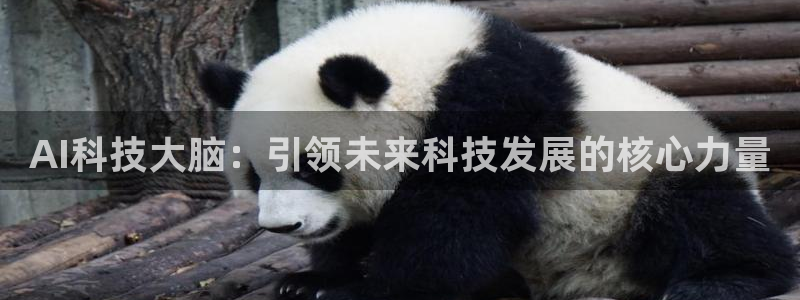 AI科技大脑：引领未来科技发展的核心力量