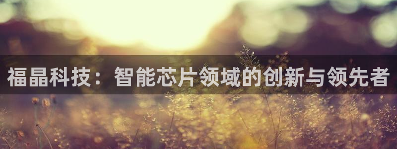 福晶科技：智能芯片领域的创新与领先者