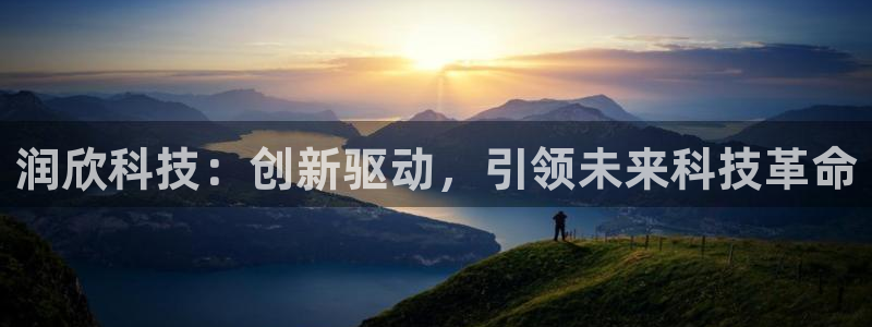 润欣科技：创新驱动，引领未来科技革命