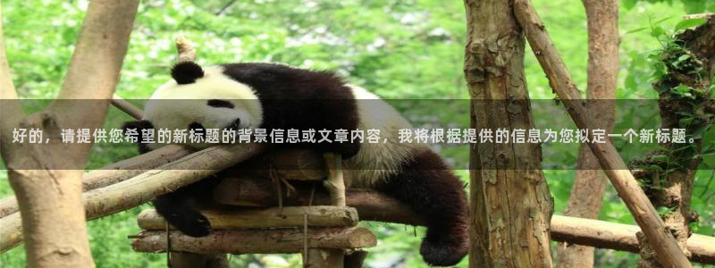 好的，请提供您希望的新标题的背景信息或文章内容，我将根据提供的信息为您拟定一个新标题。