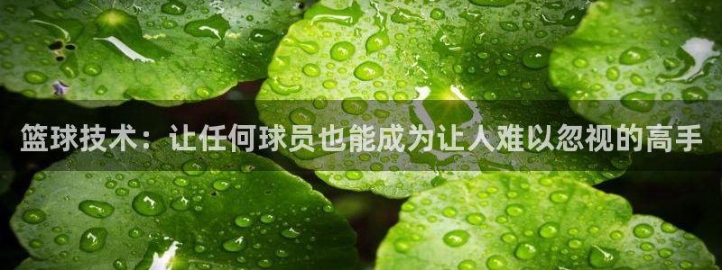 篮球技术：让任何球员也能成为让人难以忽视的高手