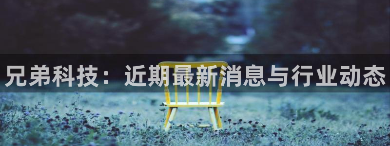 兄弟科技：近期最新消息与行业动态