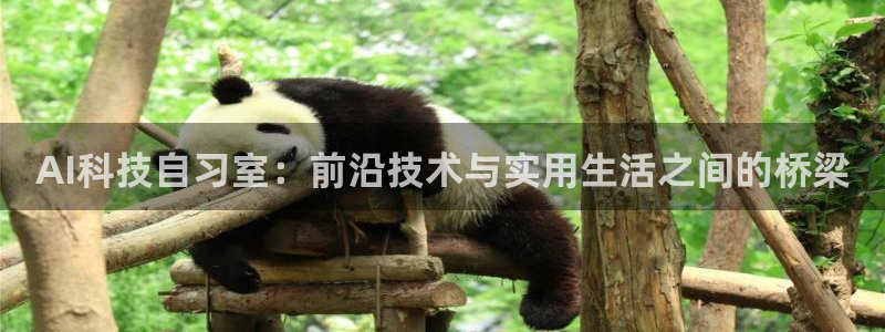 AI科技自习室：前沿技术与实用生活之间的桥梁