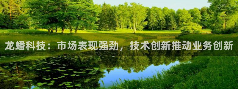 龙蟠科技：市场表现强劲，技术创新推动业务创新
