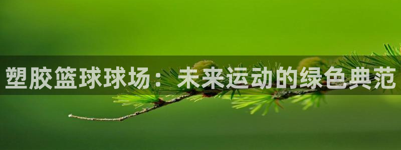 塑胶篮球球场：未来运动的绿色典范
