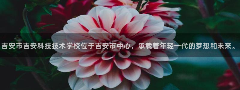 吉安市吉安科技技术学校位于吉安市中心，承载着年轻一代的梦想和未来。