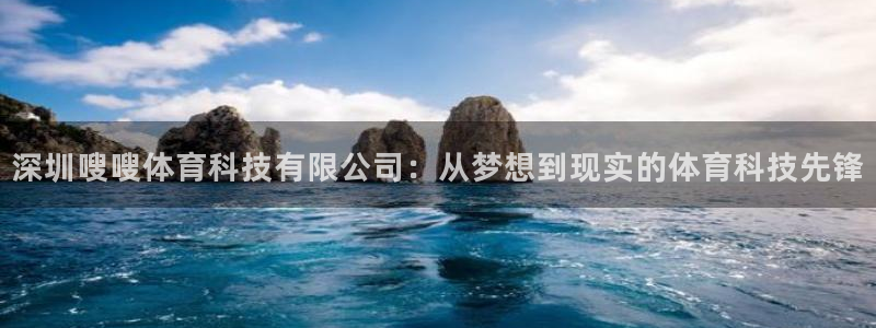 深圳嗖嗖体育科技有限公司：从梦想到现实的体育科技先锋