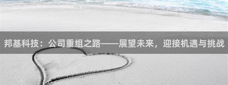 邦基科技：公司重组之路——展望未来，迎接机遇与挑战