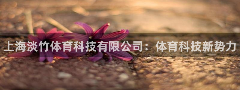 上海淡竹体育科技有限公司：体育科技新势力