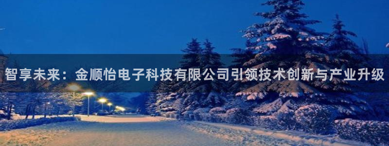 智享未来：金顺怡电子科技有限公司引领技术创新与产业升级
