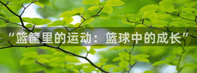 “篮筐里的运动：篮球中的成长”