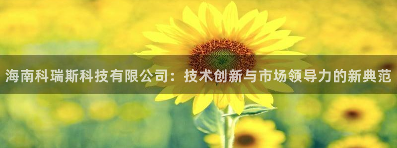 海南科瑞斯科技有限公司：技术创新与市场领导力的新典范
