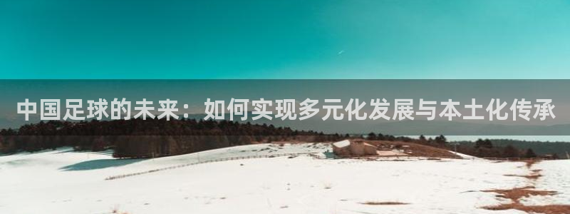 中国足球的未来：如何实现多元化发展与本土化传承