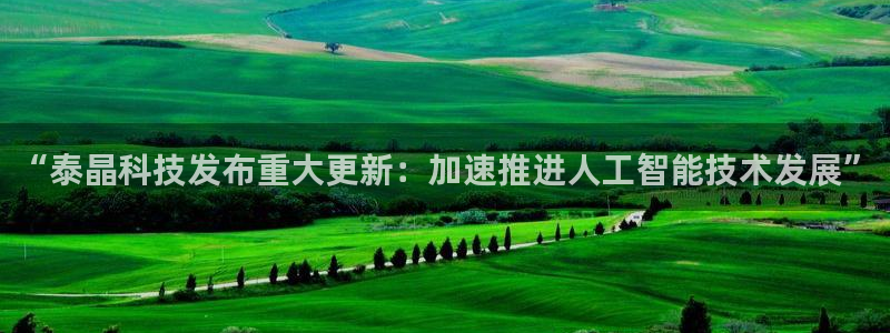 “泰晶科技发布重大更新：加速推进人工智能技术发展”