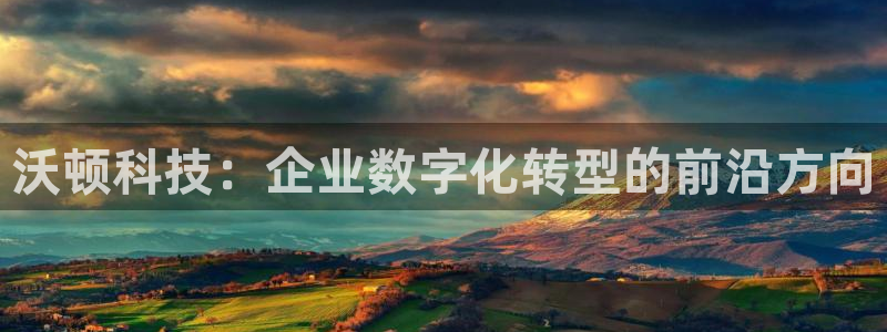 沃顿科技：企业数字化转型的前沿方向