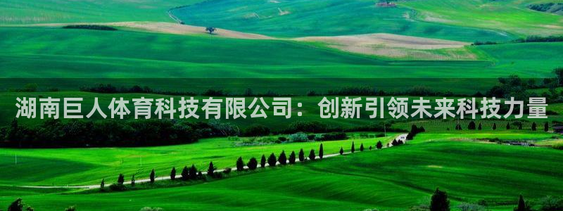 湖南巨人体育科技有限公司：创新引领未来科技力量