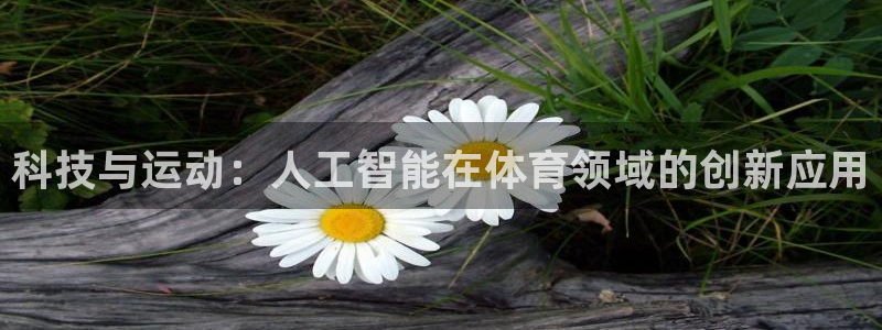 科技与运动：人工智能在体育领域的创新应用