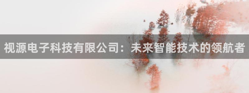 视源电子科技有限公司：未来智能技术的领航者