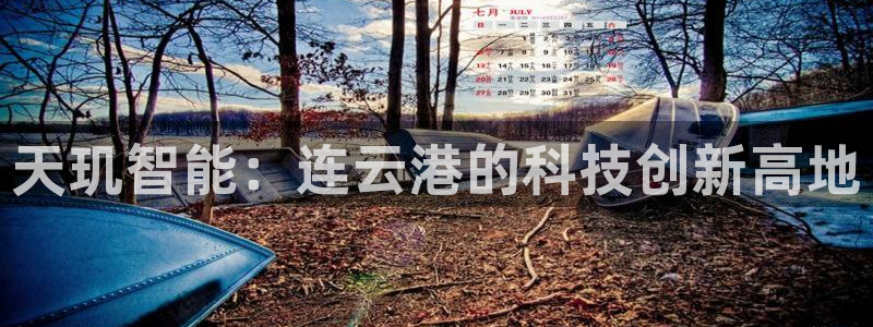 天玑智能：连云港的科技创新高地
