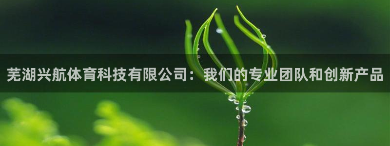 芜湖兴航体育科技有限公司：我们的专业团队和创新产品