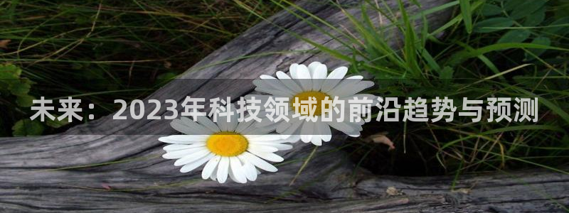 未来：2023年科技领域的前沿趋势与预测