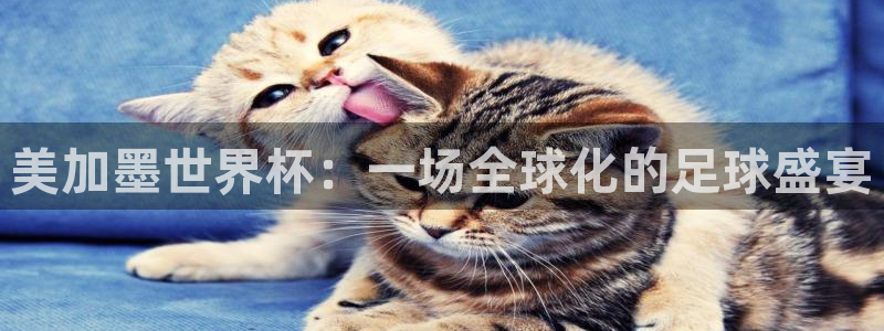 美加墨世界杯：一场全球化的足球盛宴