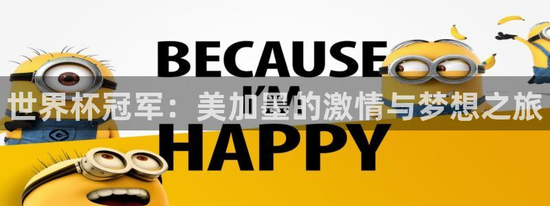 世界杯冠军：美加墨的激情与梦想之旅