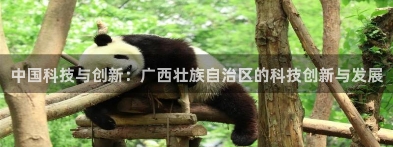 中国科技与创新：广西壮族自治区的科技创新与发展