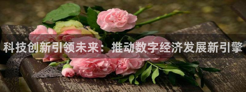 科技创新引领未来：推动数字经济发展新引擎