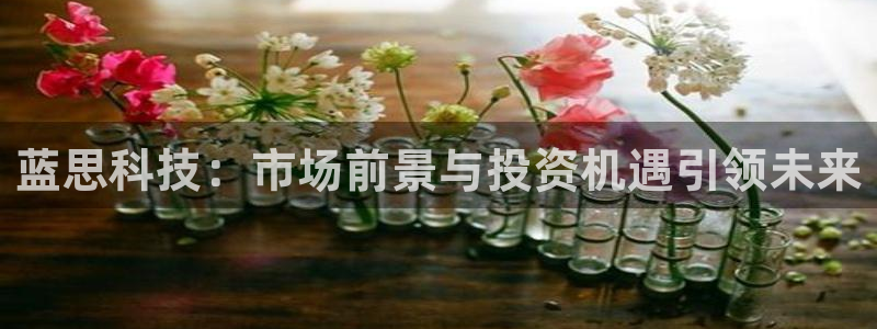 蓝思科技：市场前景与投资机遇引领未来