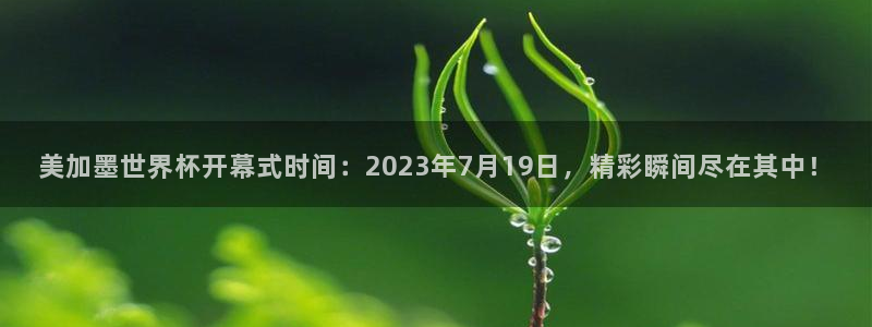 美加墨世界杯开幕式时间：2023年7月19日，精彩瞬间尽在其中！