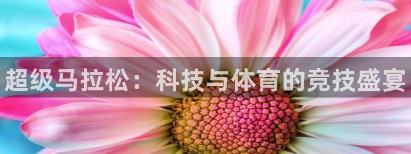 超级马拉松：科技与体育的竞技盛宴