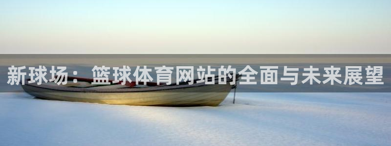 新球场：篮球体育网站的全面与未来展望