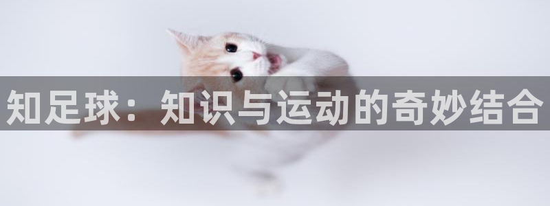 知足球：知识与运动的奇妙结合