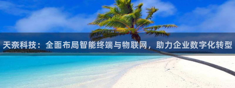 天奈科技：全面布局智能终端与物联网，助力企业数字化转型
