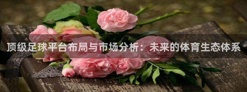 顶级足球平台布局与市场分析：未来的体育生态体系
