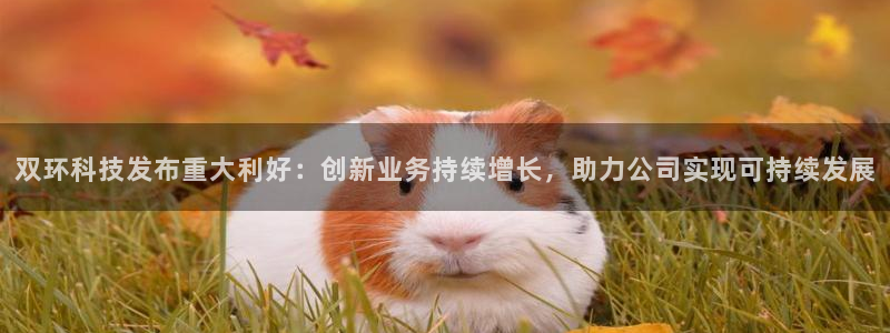 双环科技发布重大利好：创新业务持续增长，助力公司实现可持续发展