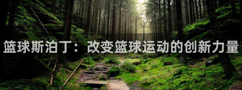 篮球斯泊丁：改变篮球运动的创新力量